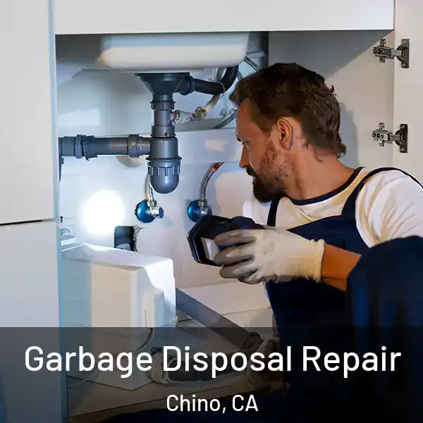 Garbage Disposal Repair Chino, CA