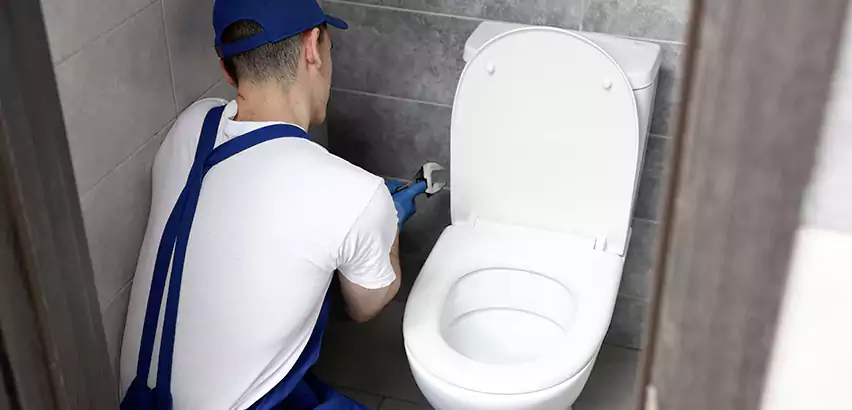 Toilet Lid Replacement in Chino