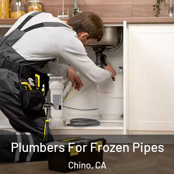  Plumbers For Frozen Pipes Chino, CA