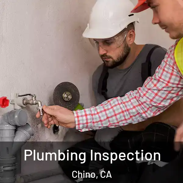  Plumbing Inspection Chino, CA