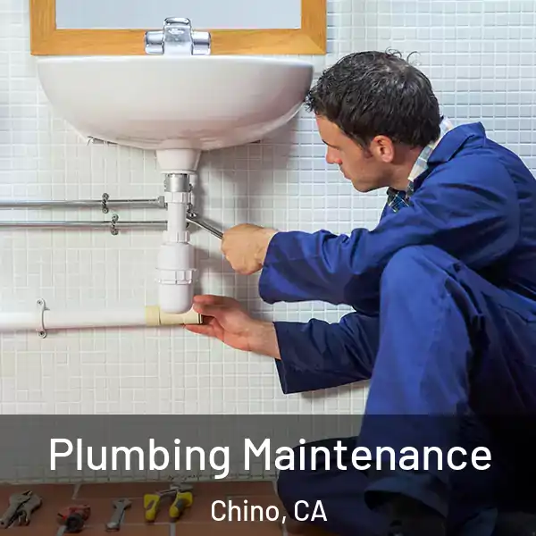  Plumbing Maintenance Chino, CA