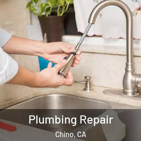  Plumbing Repair Chino, CA