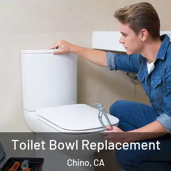  Toilet Bowl Replacement Chino, CA