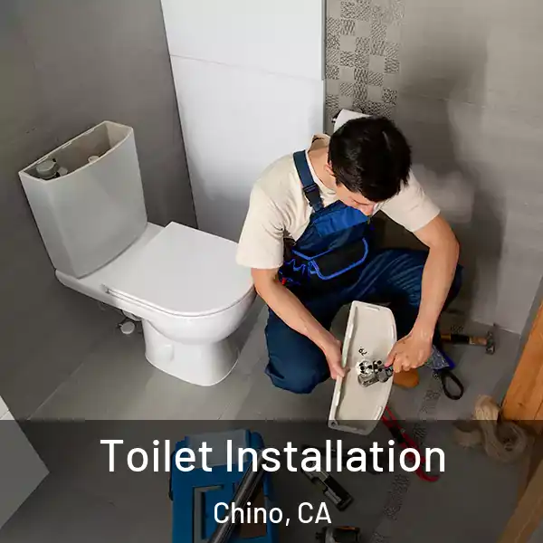  Toilet Installation Chino, CA