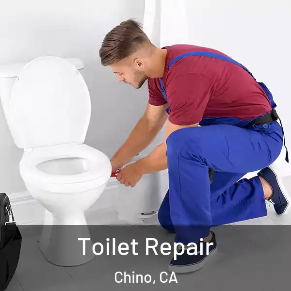 Toilet Repair Chino, CA