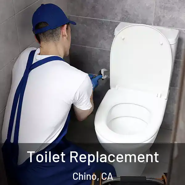  Toilet Replacement Chino, CA