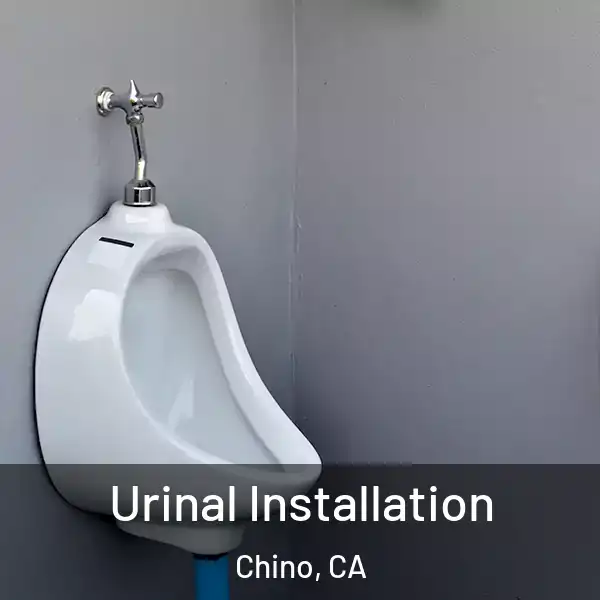  Urinal Installation Chino, CA
