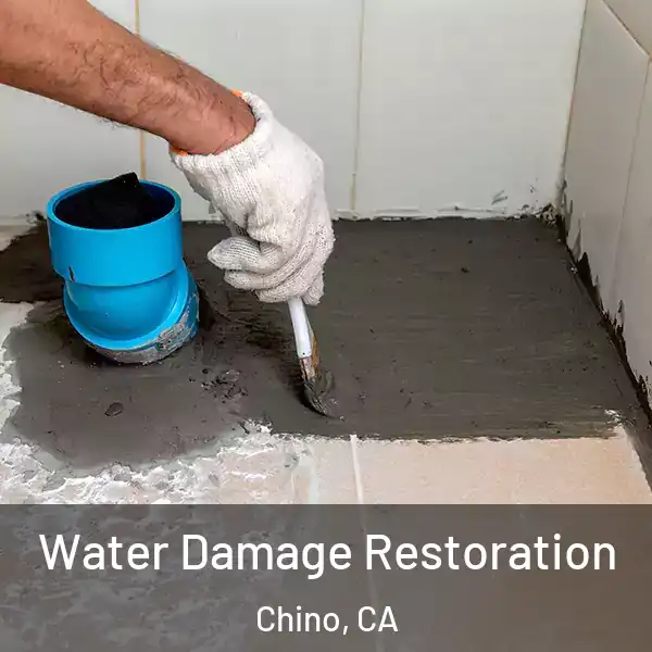  Water Damage Restoration Chino, CA