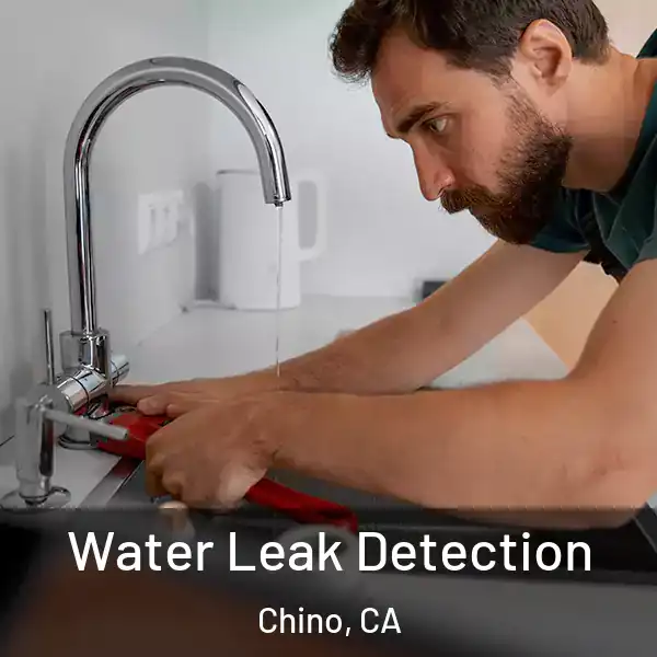  Water Leak Detection Chino, CA
